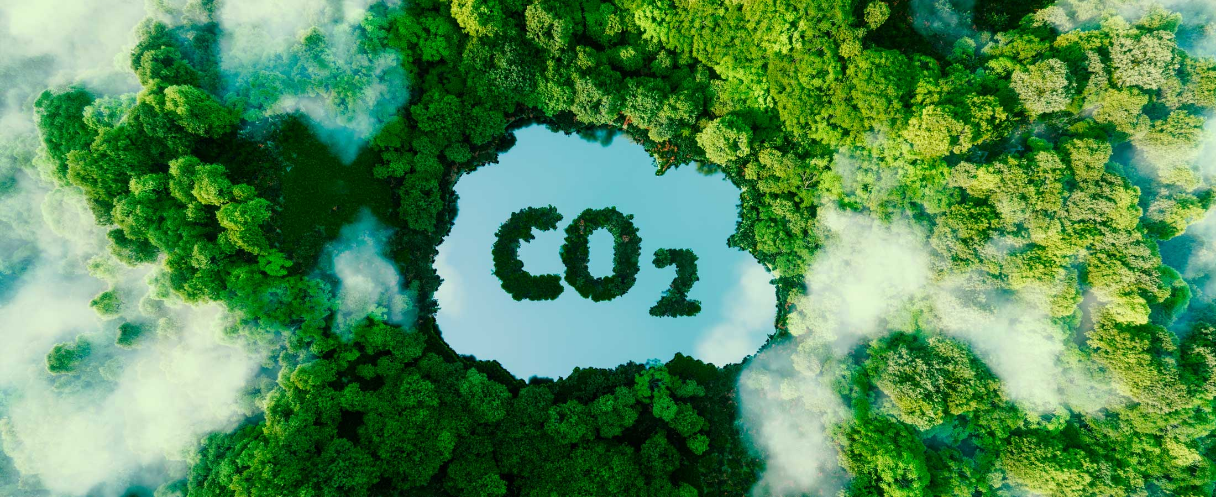 forêt vue du haut, avec un texte : CO2